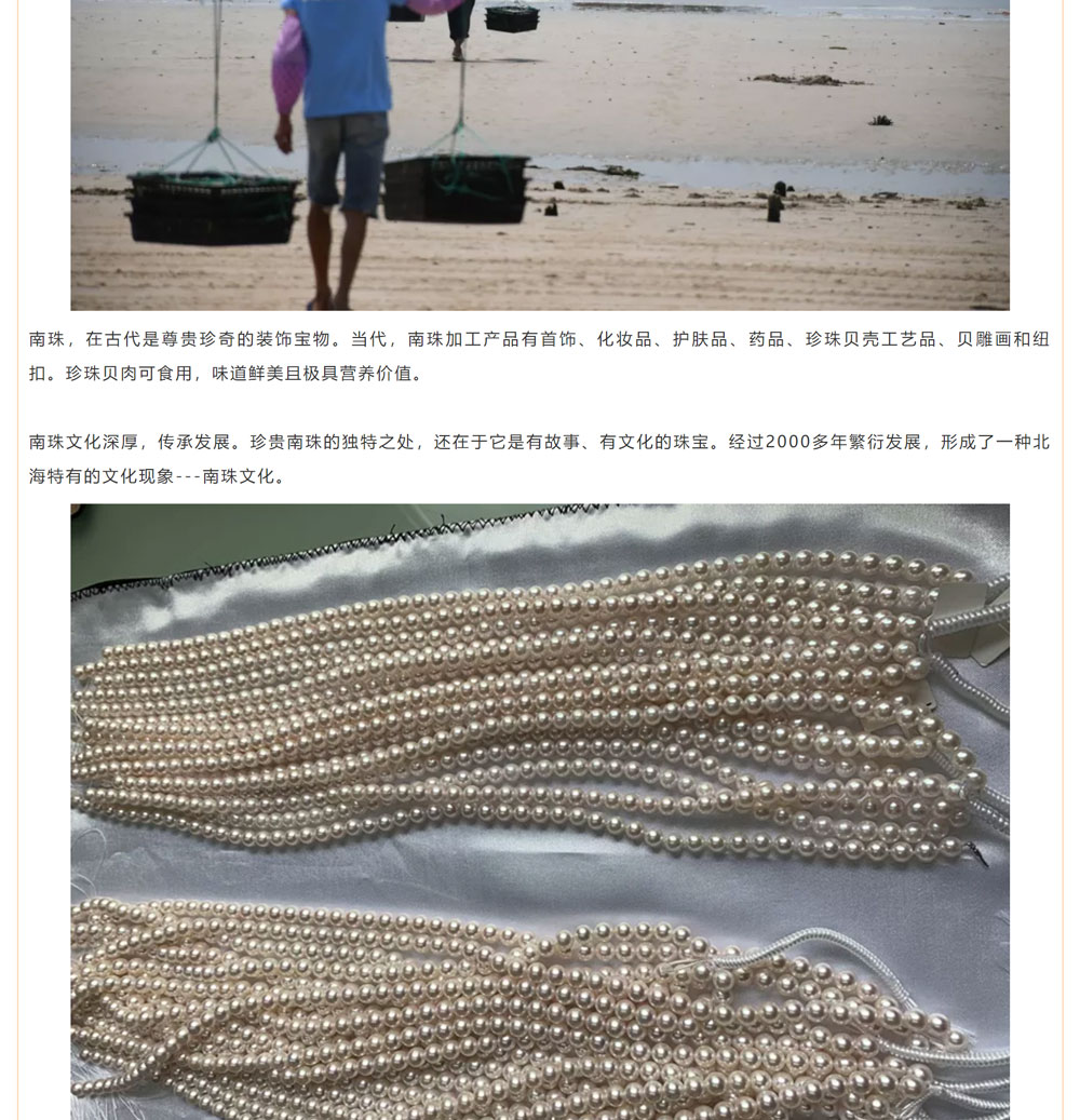 古老南珠，綻放異彩