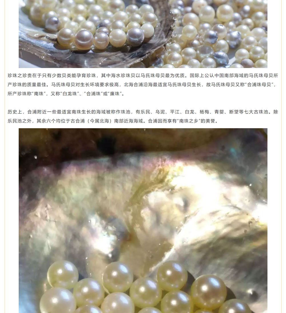 古老南珠，綻放異彩